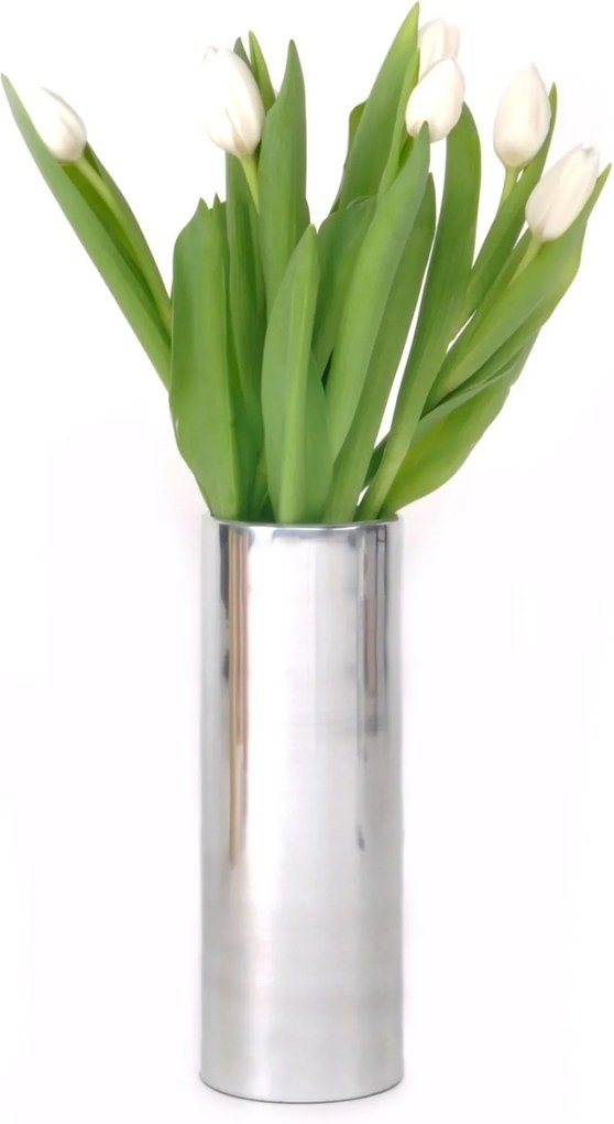 XLBoom | Vaas Noella large: diameter 9 cm x hoogte 25.50 cm zilverkleurig vazen aluminium vazen & bloempotten decoratie | NADUVI outlet