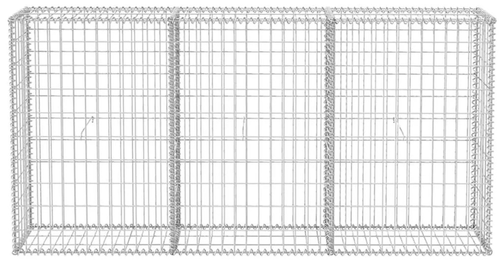 vidaXL Gabion mand 200x30x100 cm gegalvaniseerd staal