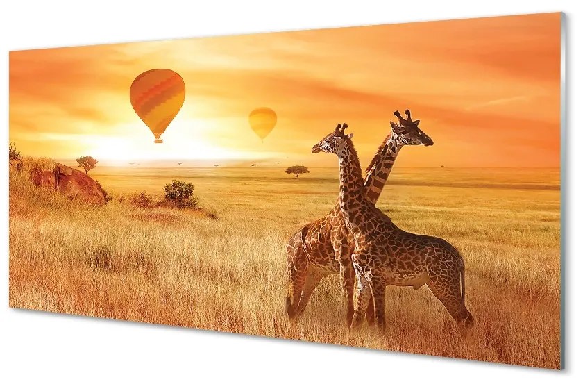 Schilderij op glas Ballonnen sky giraffen 100x50 cm
