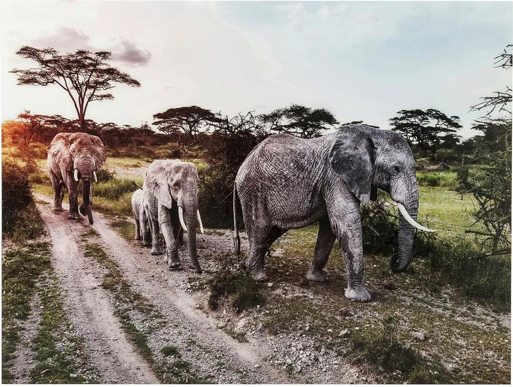 Kare Design Elefant Family Glas Schilderij Olifanten
