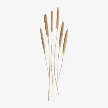 Decoratieve Bos Koty Beige – Crème - Sklum
