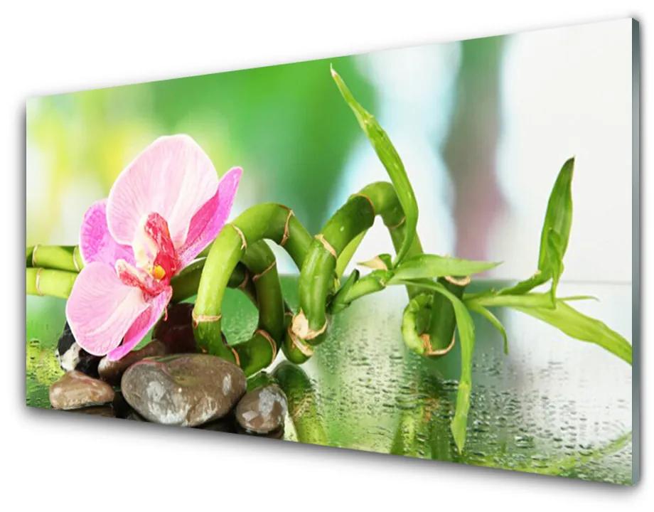 Glas foto Bamboo stengelplant nature 100x50 cm
