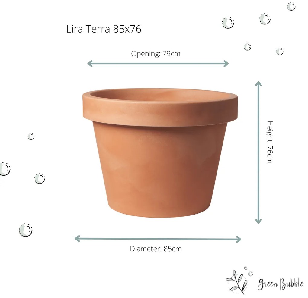 Lira Terra