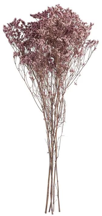 Droogbloem gipskruid - roze - 65 cm