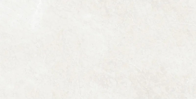 Mexen French Zilveren monster van gerectificeerd geglazuurd gres G1, vloer- en wandtegel, glans - TL173-01-S