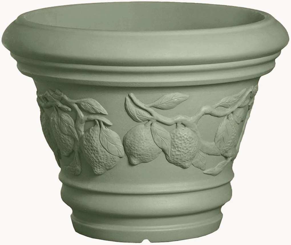 Grote plantenpot Limoni