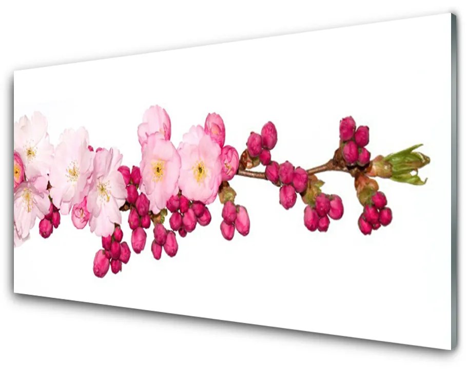 Foto op glas Cherry blossom twig 100x50 cm