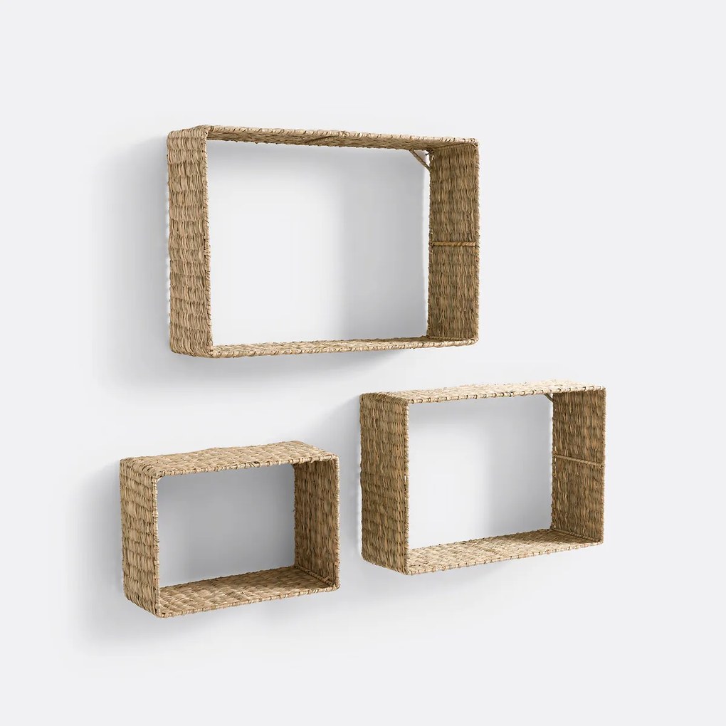 Set van 3 wandrekken in herbarium, Zuric