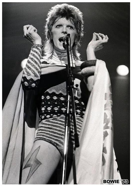Poster David Bowie - Ziggy Stardust 1973, (59.4 x 84.1 cm)