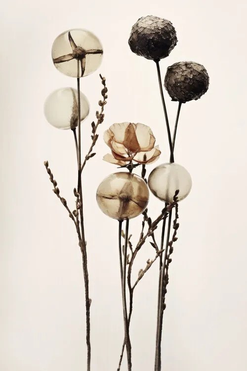 Ilustratie Glass Ball Flowers, Treechild