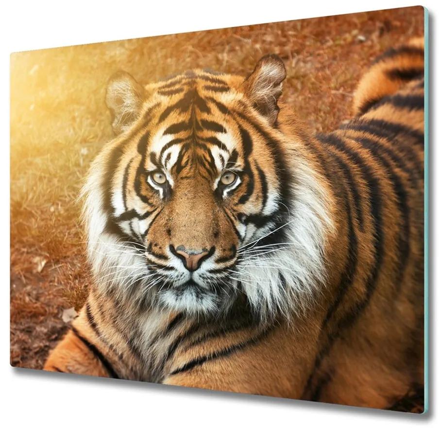 snijplank van glas Bengaalse tijger 60x52cm