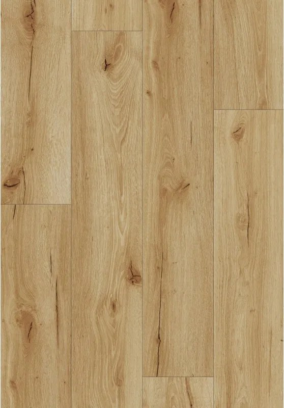 Mexen Beaver Creek vinylvloeren 1227 x 187 mm LVT Dryback 2,5 mm, PVC onderlaag, 4 V-Voeg, Eik - F1302-1227-187-255-4V1-01