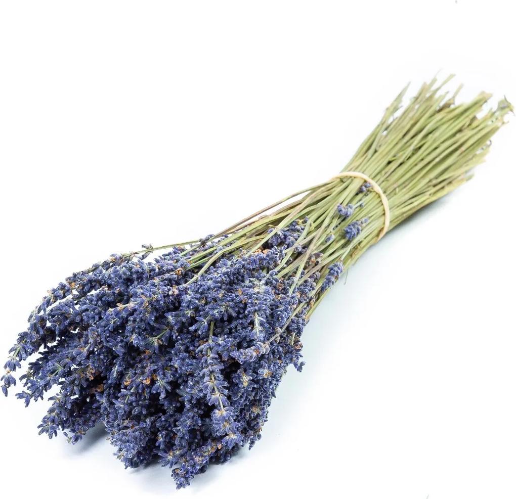 Lavendel (per Bos) - Bloomgift