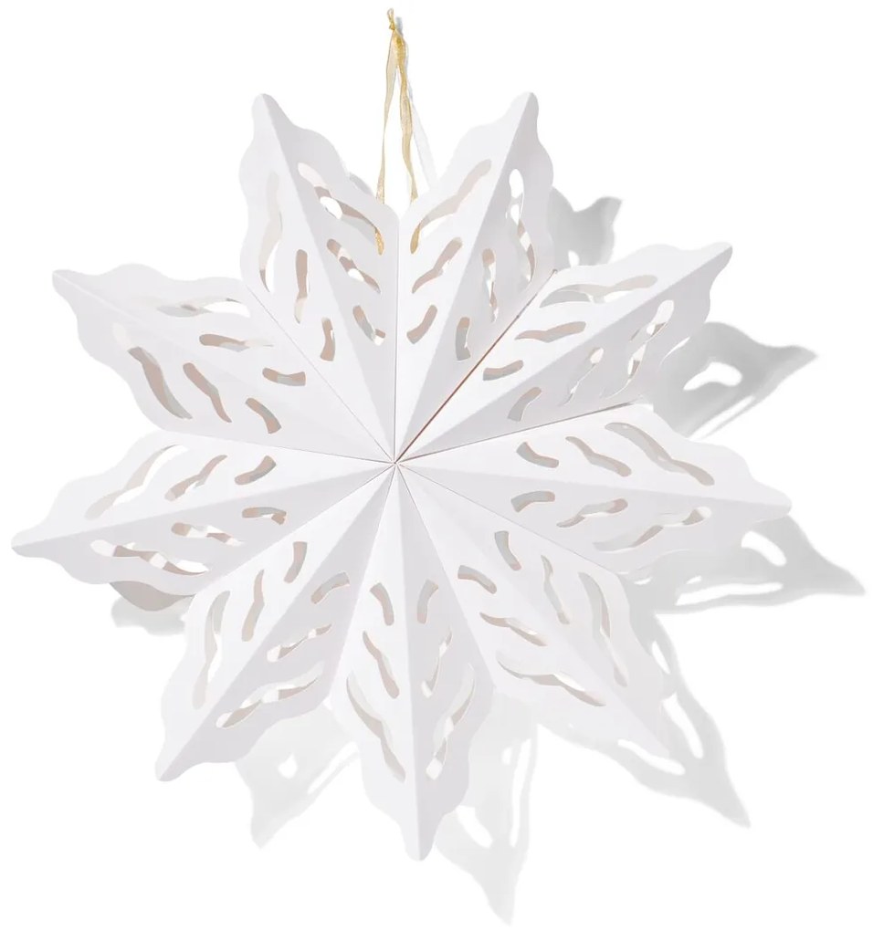 HEMA Papieren Sneeuwvlok Ø60cm wit (wit)