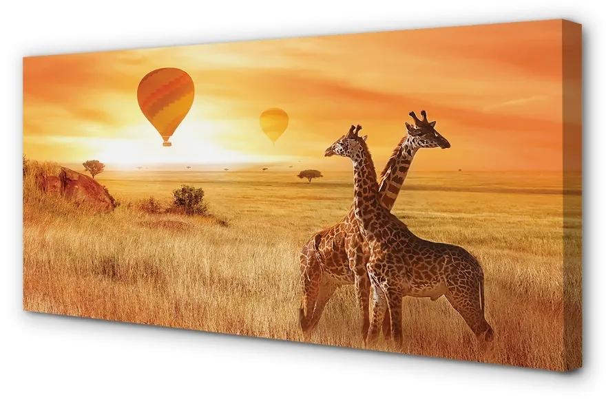 Schilderijen op canvas doek Ballonnen sky giraffen 100x50 cm