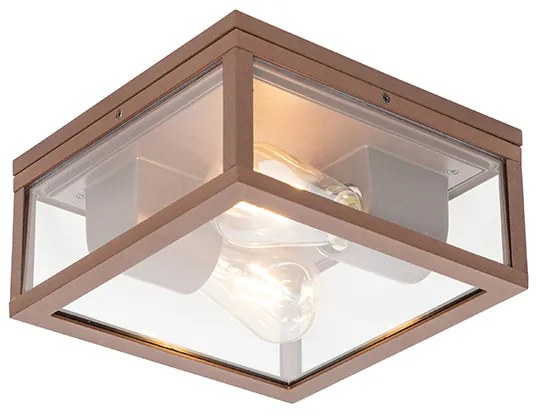 Industriële plafondlamp roestbruin IP44 2-lichts - Charlois