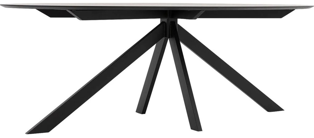 Goossens Excellent Eettafel Uniek, Ovaal 220 x 120 cm