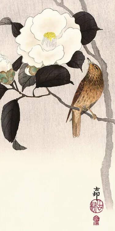 Print op canvas Ohara Koson - Songbird and Flowering Camellia, (30 x 60 cm)