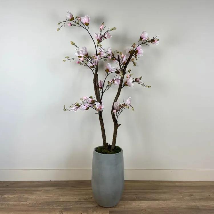 Magnolia Roze Decoratie Boom . Excl Pot± 150 cm