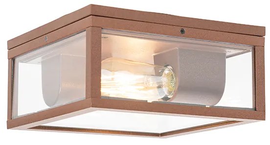 Industriële plafondlamp roestbruin IP44 2-lichts - Charlois