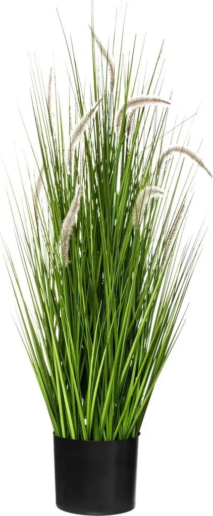 Atmosphera siergras groen H100cm