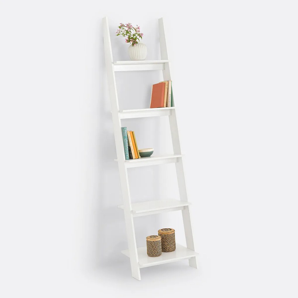 Wandrek in ladder model Domeno