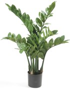 Emerald Kunstplant zamioculcas 70 cm