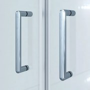 Marenza Neptune Pendeldeur - 100x200cm - 6mm veiligheidsglas - anti kalk - chroom SKII622SALOON-100