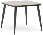 Dining Tuintafel  90 x 90 cm Aluminium Grijs Vienna