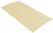 vidaXL Lattenbodem met 24 latten 100x200 cm