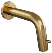 BRAUER Gold Edition Fonteinkraan - inbouw - 8.5 - 18.5cm uitloop - Goud geborsteld 5-GG-257