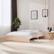 vidaXL Bedframe massief hout 160x200 cm