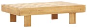 vidaXL Salontafel 100x60x25 cm massief acaciahout