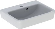 Geberit Renova Plan Fontein 50x38x16,5 cm 1 Kraangat Met Overloop Wit