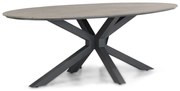 Dining Tuintafel ovaal ellipse 220 x 115 cm Aluminium/polywood Grijs Matara