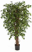 Ficus Hawaiian Liana kunstplant - 210 cm