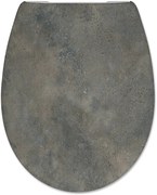 Saqu toiletbril met softclose en quickrelease 36,2x43,6cm multi