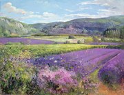 Kunstreproductie Lavender Fields in Old Provence, Timothy Easton