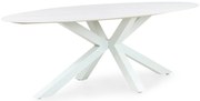 Dining Tuintafel ovaal 240 x 107 cm Wit Santika Ellisse