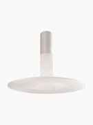 Dimbare plafondlamp Louis