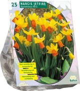 Baltus 'Narcis Mini Jetfire - Geel/Oranje' - voorjaarsbloeiers - 25 bollen