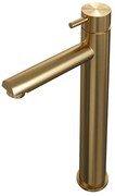 Brauer Gold - Edition Wastafelmengkraan opbouw - hoog - model b - PVD - geborsteld goud 5-GG-002-HD5