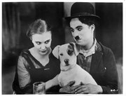 Foto Charles Chaplin In 'A Dog's Life', Archive Photos