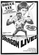 Ilustratie Bruce Lee Man Myth 02