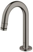 GROHE Universal toiletkraan met hoge C uitloop brushed hard graphite 20201AL0