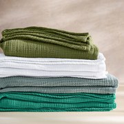 Plaid van tetra, Yafa