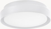 Outdoor LED plafondlamp Oliver