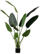 Woood Strelitzia 164 Grote Kunstplant Strelitzia 164 Cm