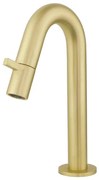 Best Design Nancy Macine toiletkraan keramisch binnenwerk 21cm goud mat 4009380