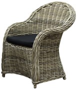 Roma dining tuinstoel naturel rotan - olefin black